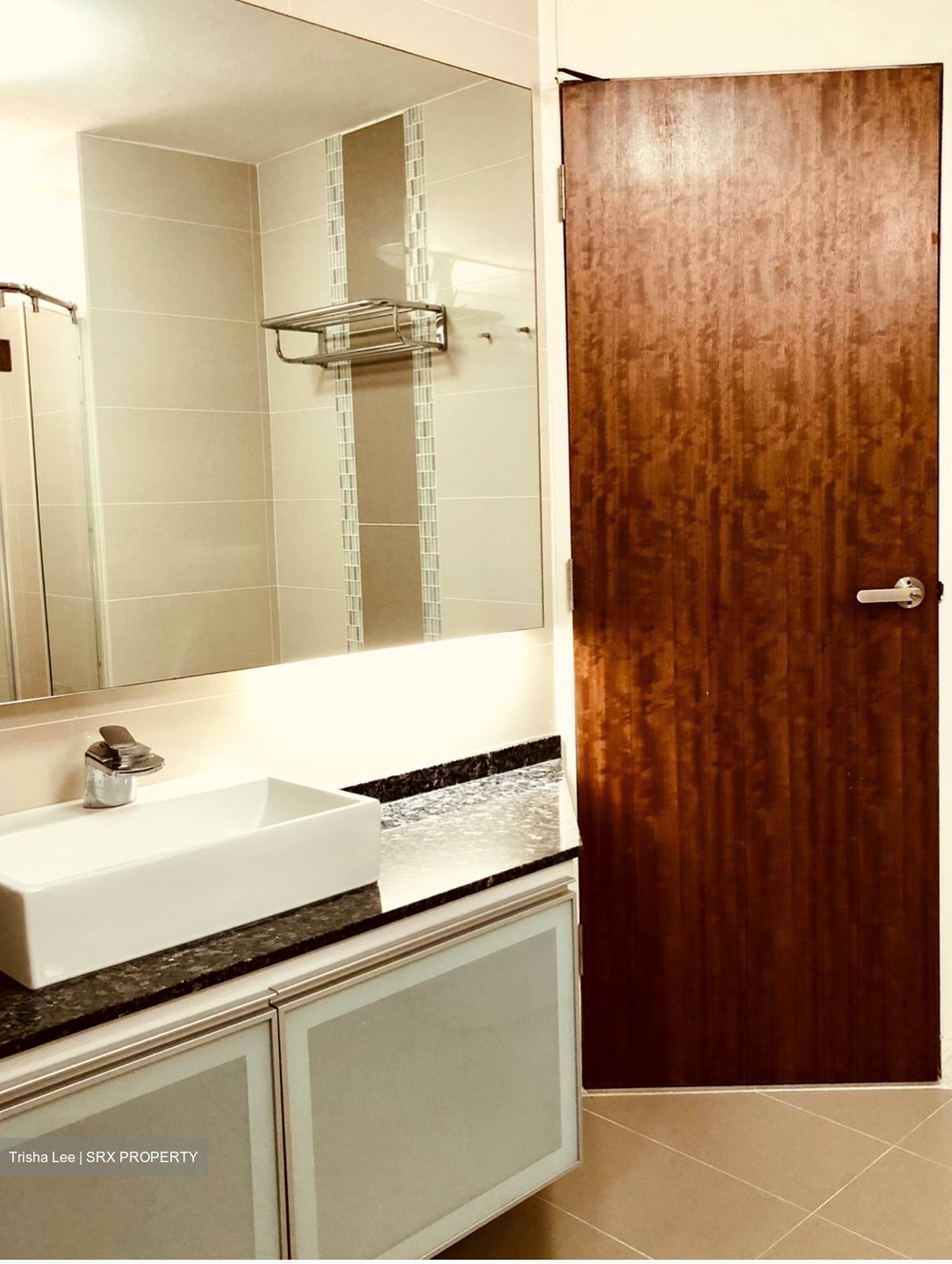 Sommerville Park (D10), Condominium #572693381